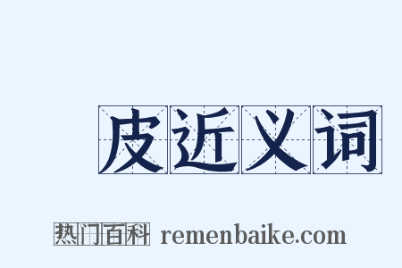 種皮近义词是什么意思的图片